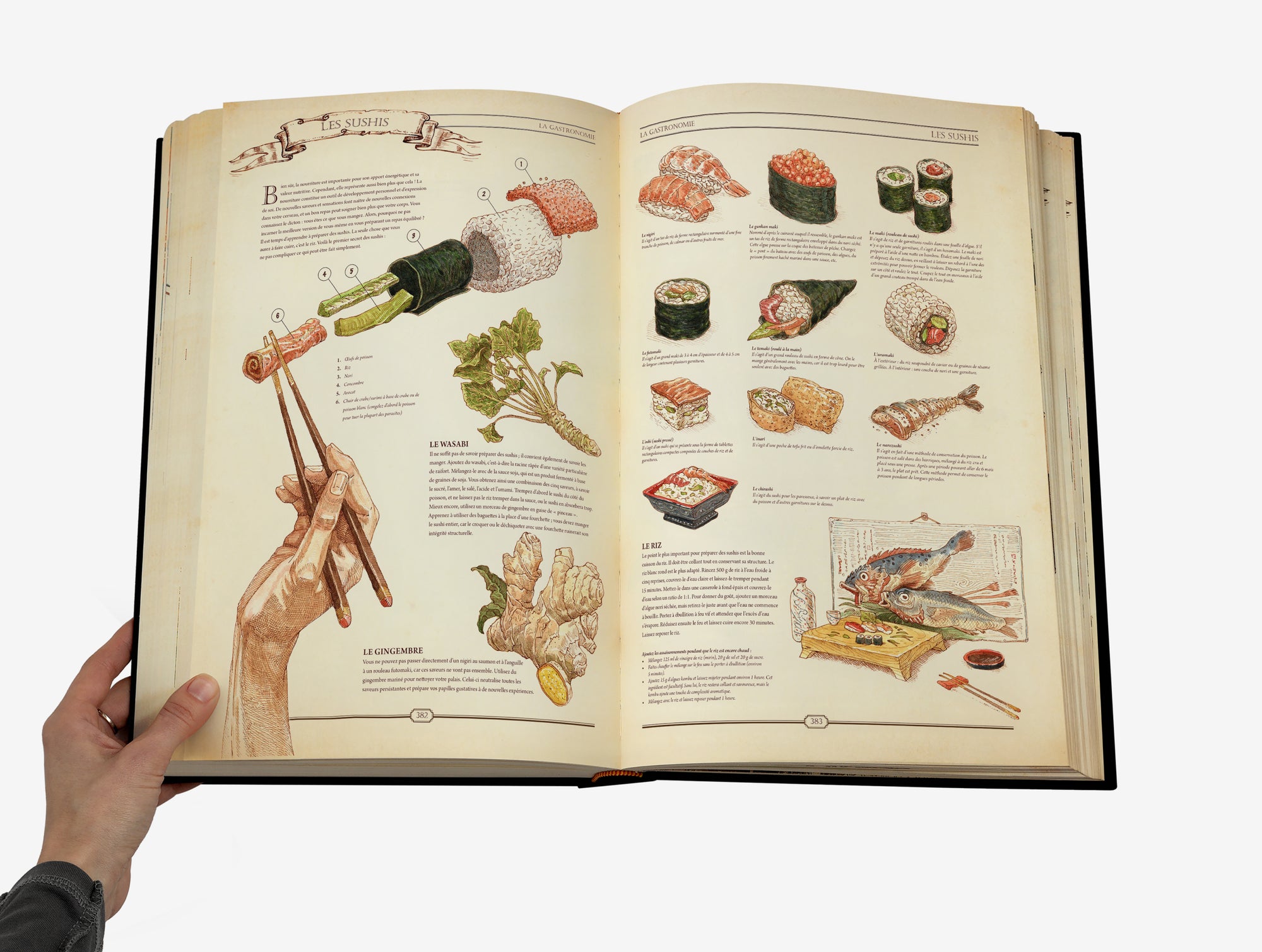 The Book. The Ultimate Guide to Rebuilding Civilization. French Version image #3