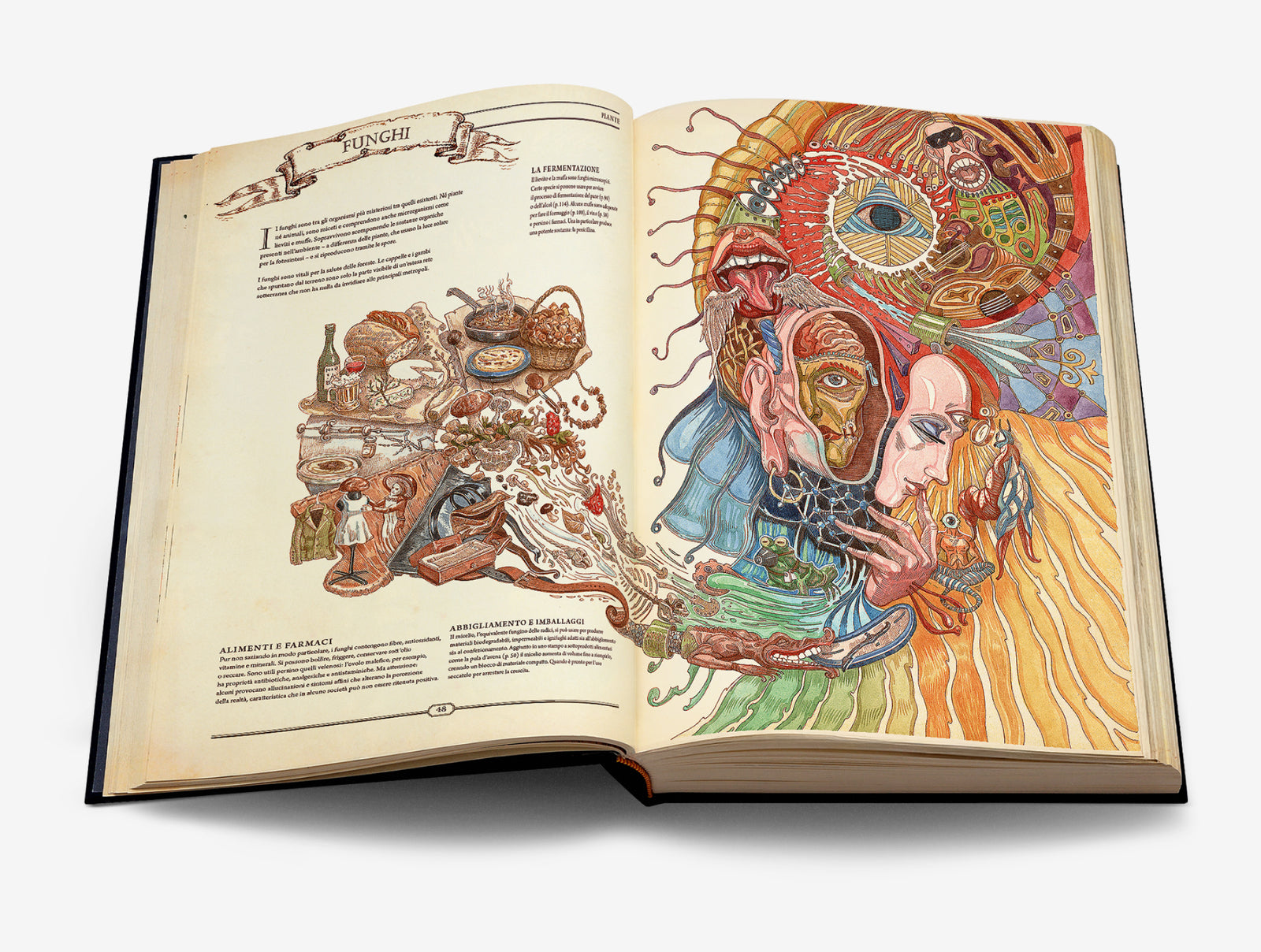 The Book. Il manuale definitivo per la ricostruzione della civiltà image #5