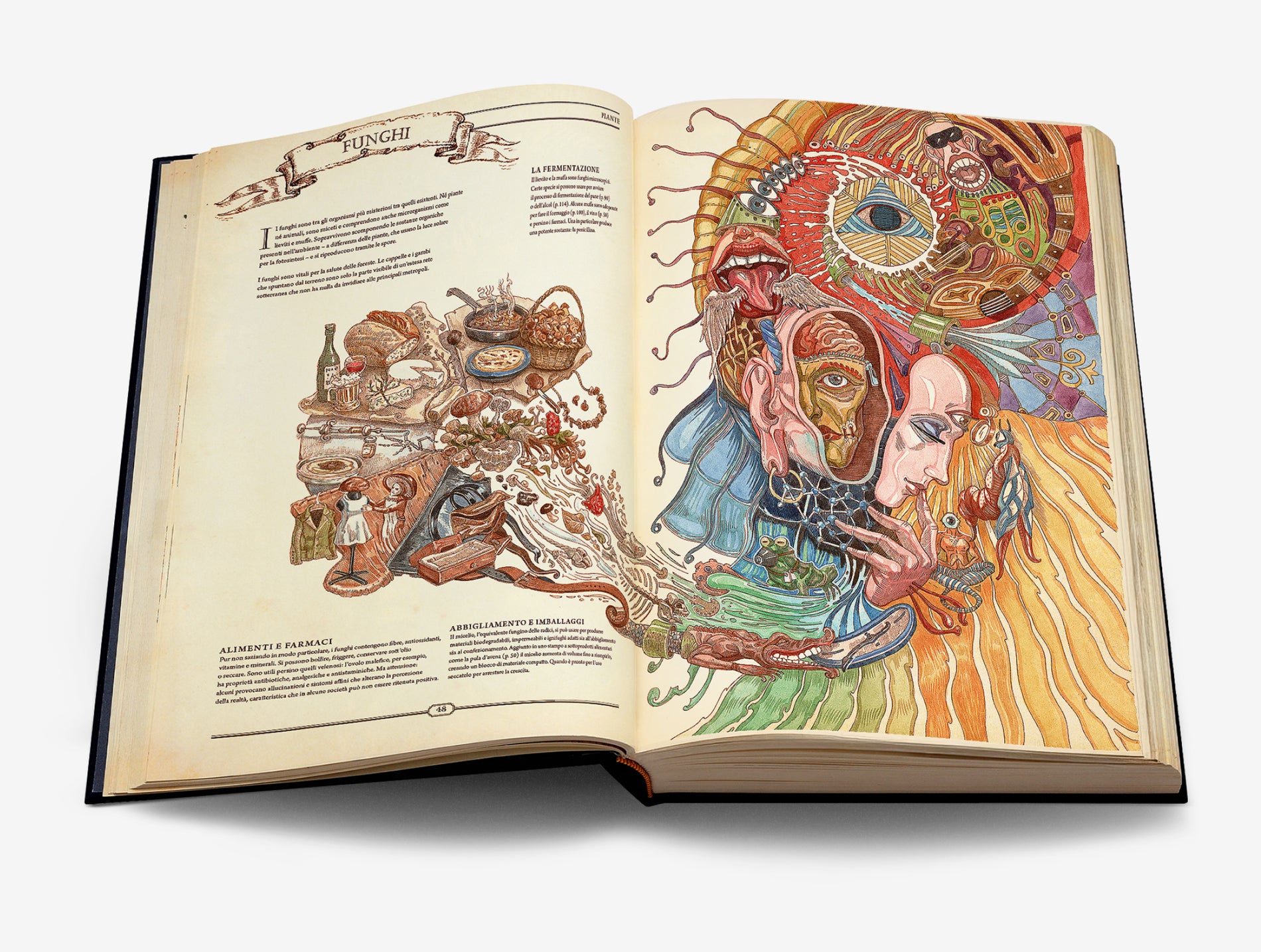 The Book. Il manuale definitivo per la ricostruzione della civiltà image #5