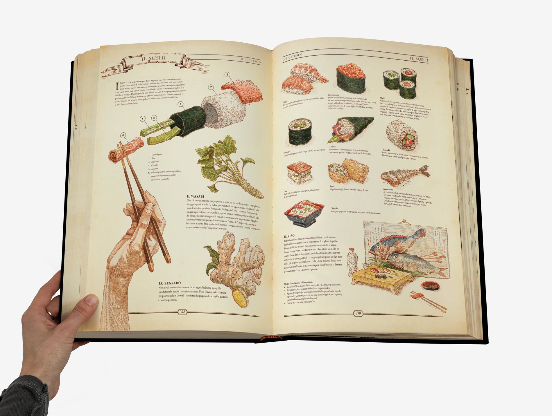 The Book. Il manuale definitivo per la ricostruzione della civiltà image #3