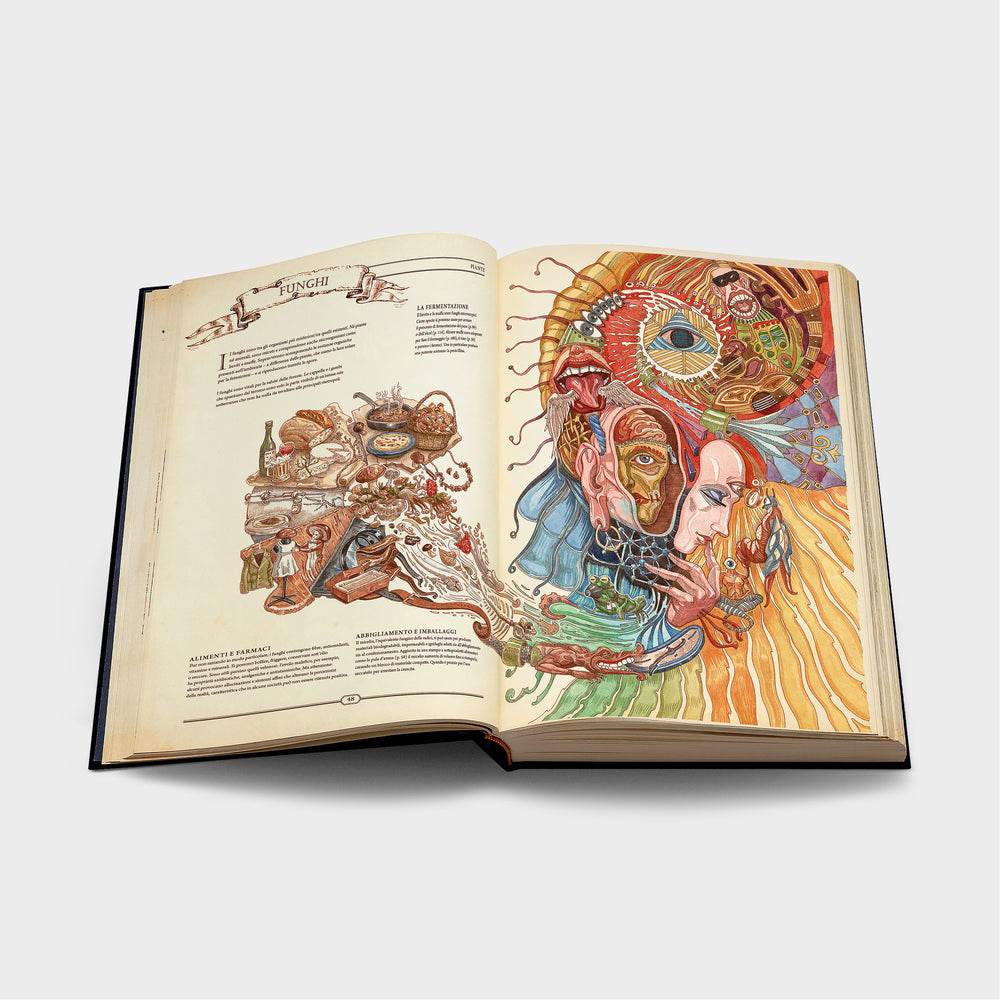 The Book. Il manuale definitivo per la ricostruzione della civiltà #2